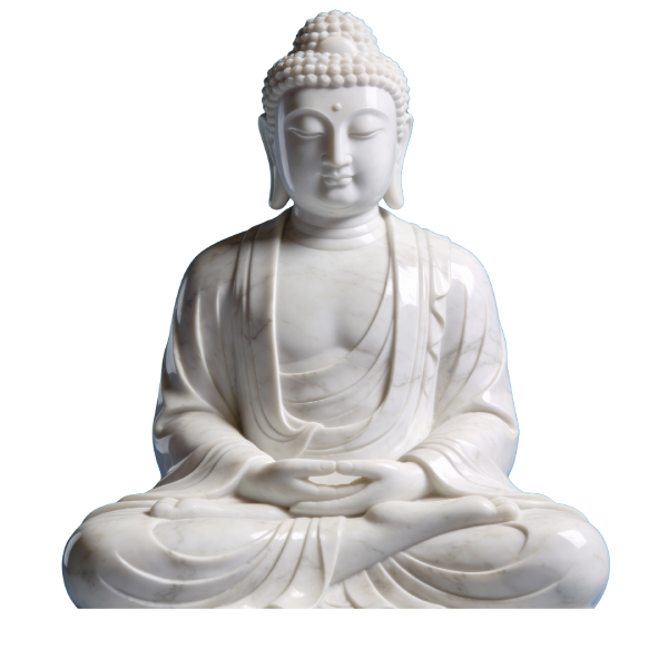 Saggezza ancestrale dei cavalli